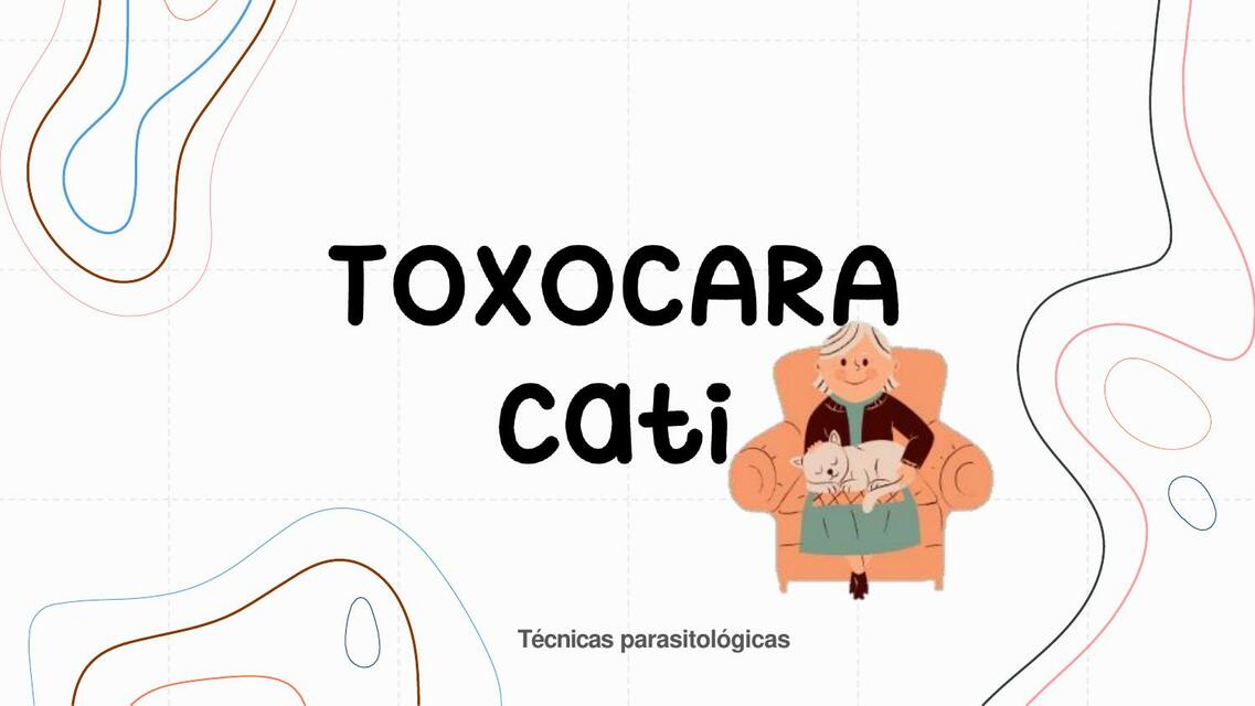 Toxocara cati 