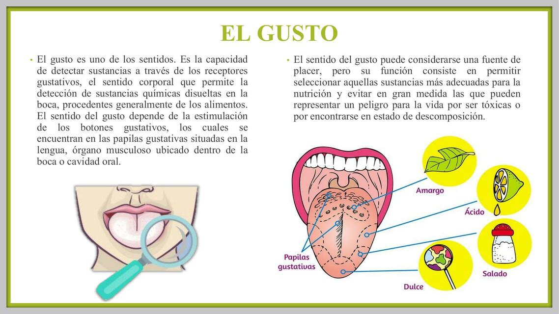 La lengua