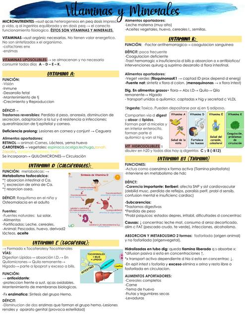 Química  - Vitaminas y Minerales  