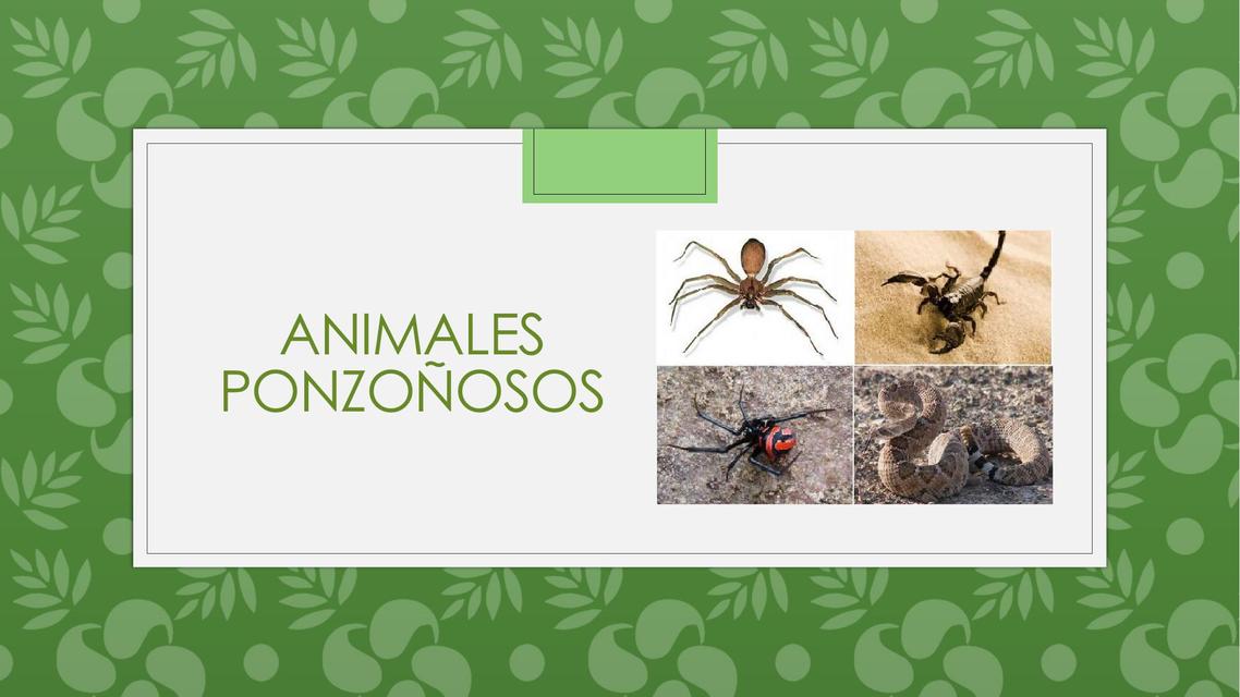 Animales ponzoñosos