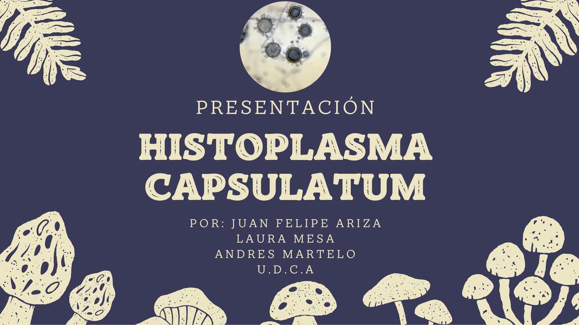 Histoplasma