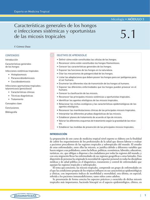 Características generales de los hongos e infecciones sistémicas y oportunistas de las micosis tropicales