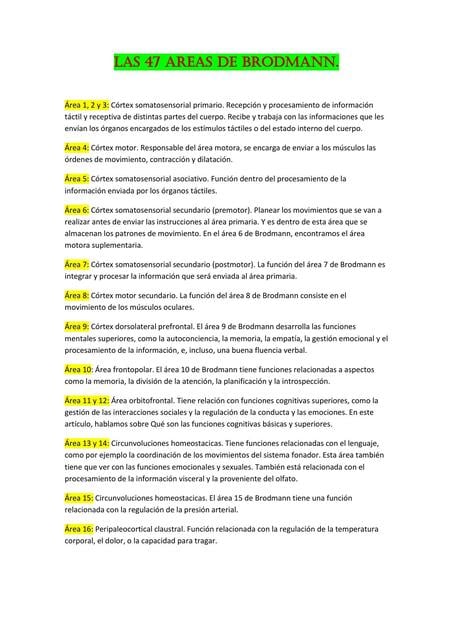 Broad Man Classification Las 47 áreas de Brodmann | Pamela Rosario | uDocz
