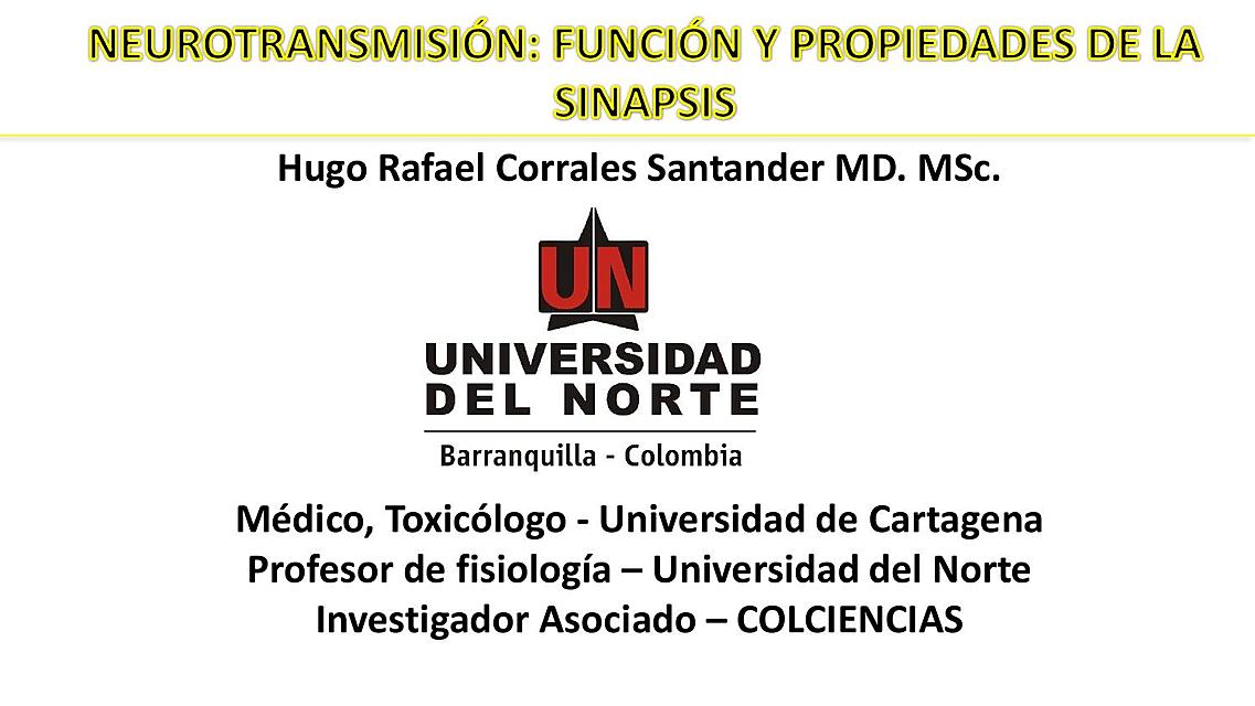 Fisiología de la sinapsis y la neurotransmisión