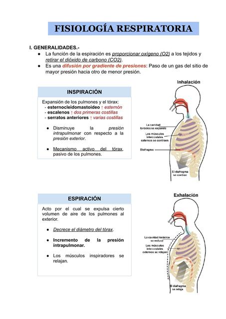 Fisiología pulmonar 