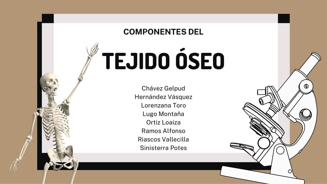 Componentes del tejido óseo