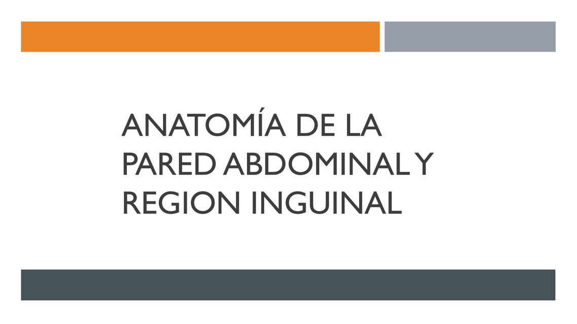 Resumen anatómico. Región inguinal