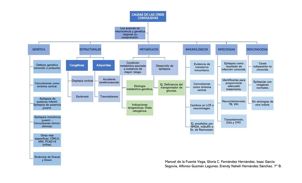 Causas de las Crisis Convulsivas