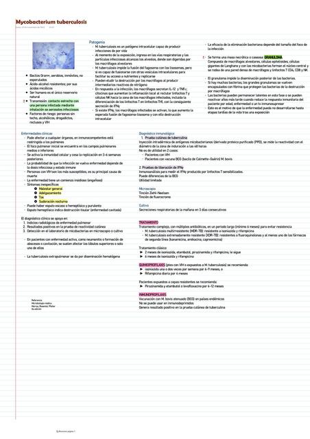 Mycobacterium tuberculosis