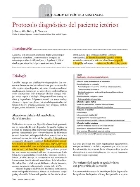 Protocolo diagnostico del síndrome ictérico 