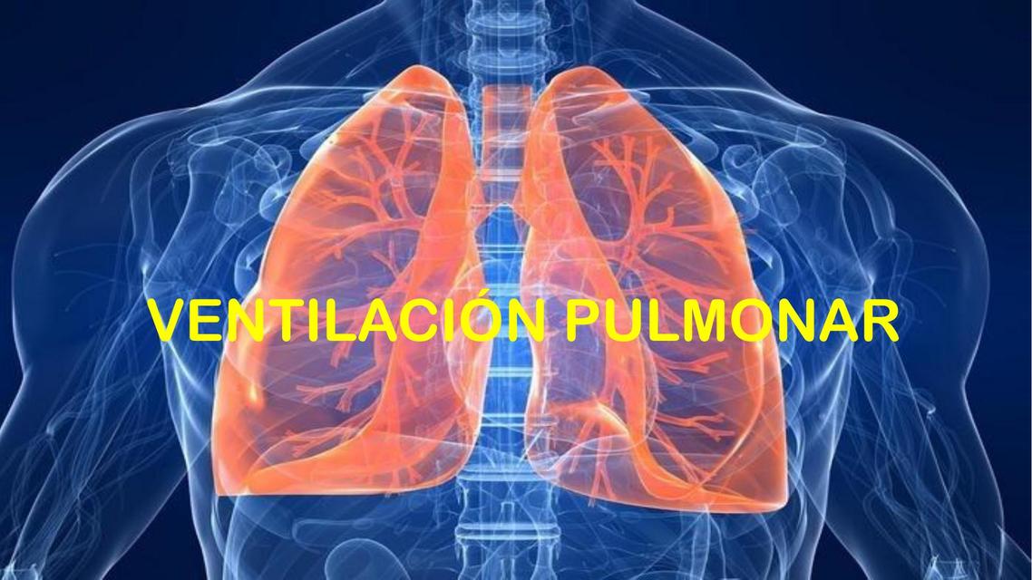 Ventilación pulmonar