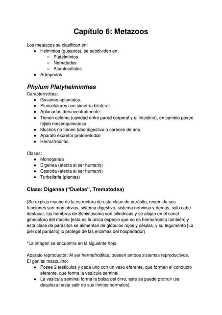 Capitulo 6: Metazoos
