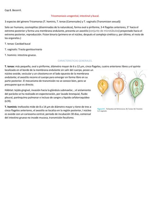 Capitulo 8: Tricomoniasis urogenital, intestinal y bucal.