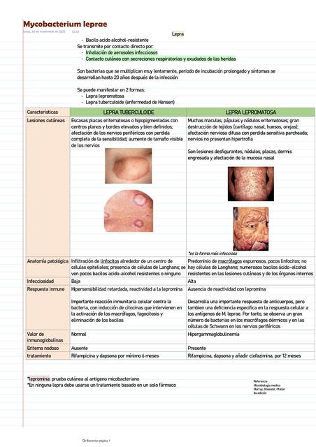 Mycobacterium leprae