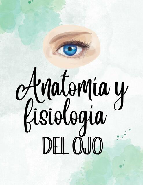 Anatomía y fisiología del ojo