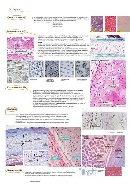 Tejido Cartilaginoso