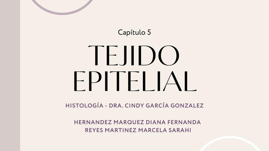 Tejido Epitelial