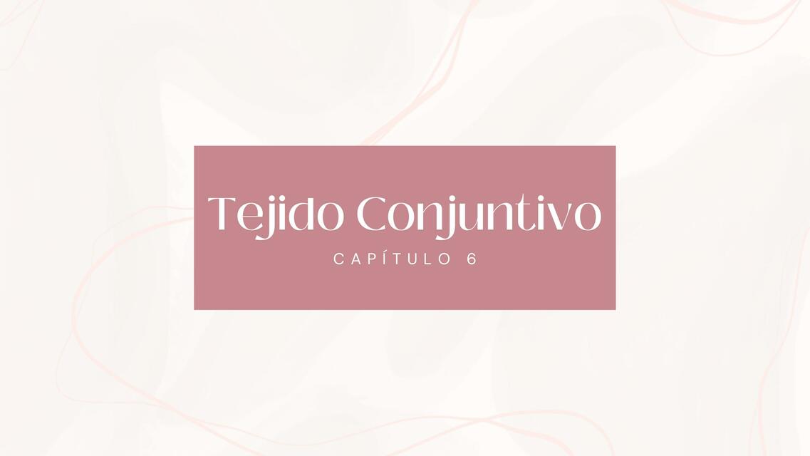 Tejido Conjuntivo