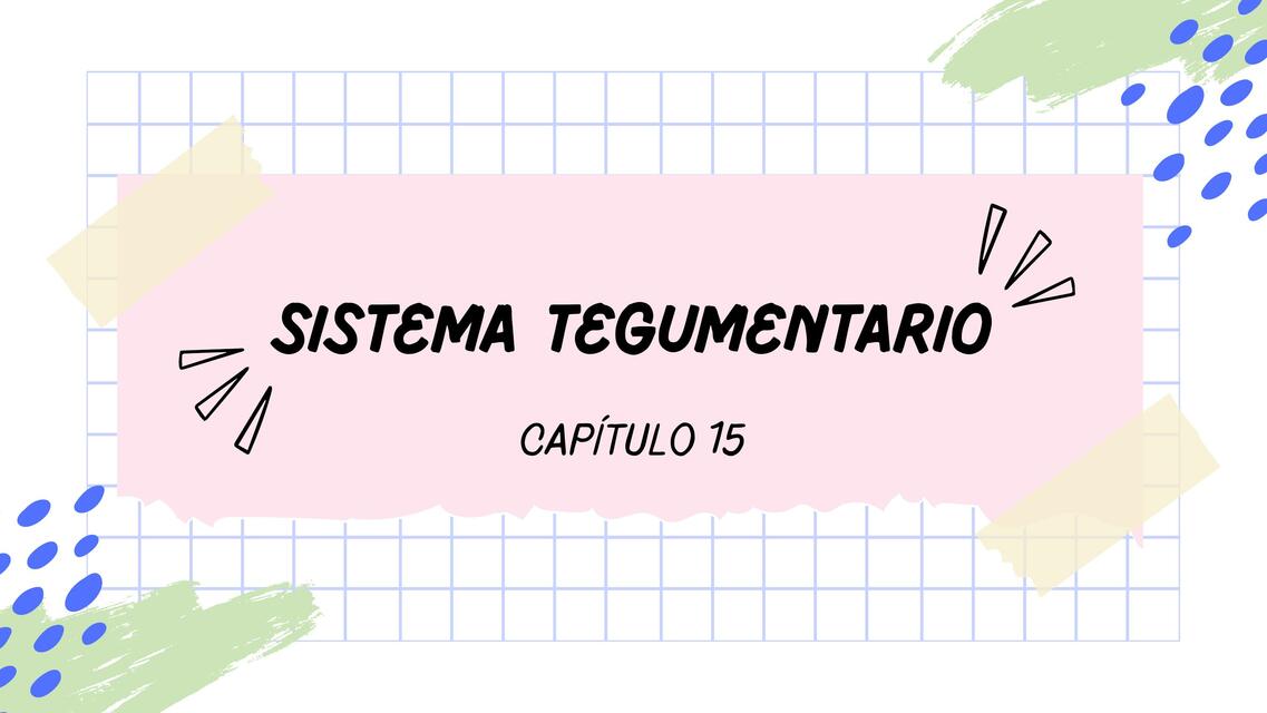 Sistema Tegumentario