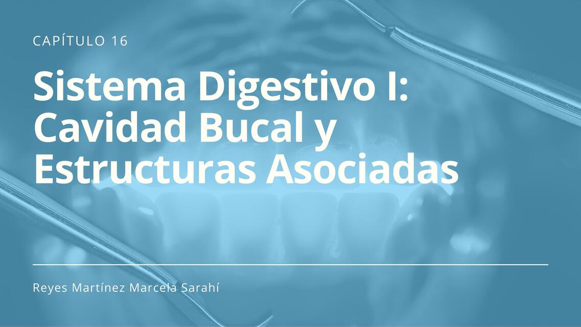 Sistema Digestivo I: Cavidad Bucal y Estructuras Asociadas