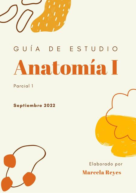 Guía Anatomía Primer Parcial