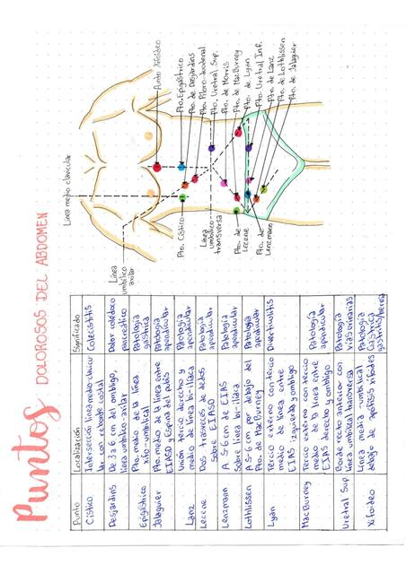 Puntos dolorosos del Abdomen 