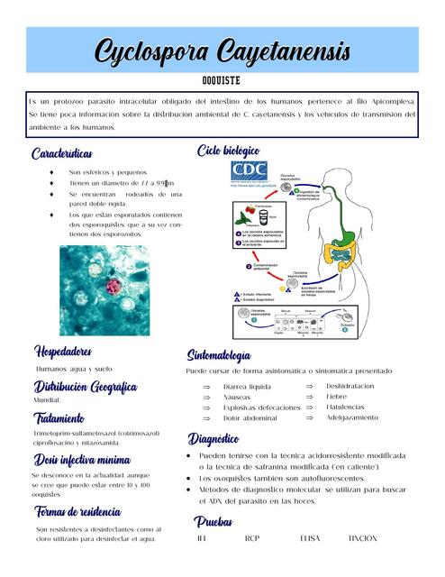 Ficha de parásitos