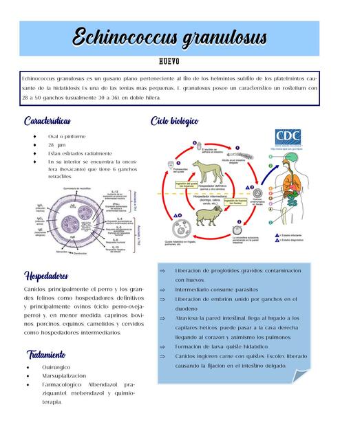 Ficha de parásitos 