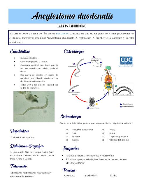 Ficha de parásitos 