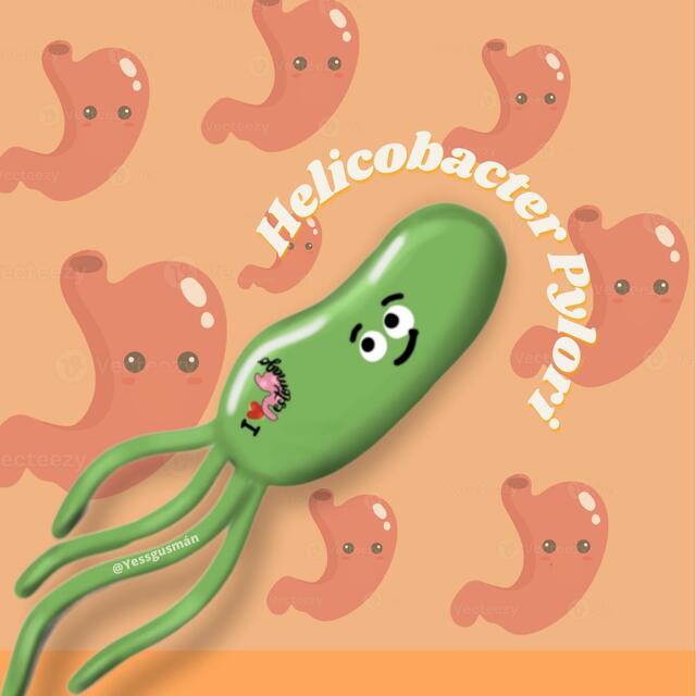 Tratamiento Helicobacter Pylori