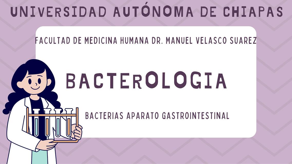 Bacterias del sistema digestivo