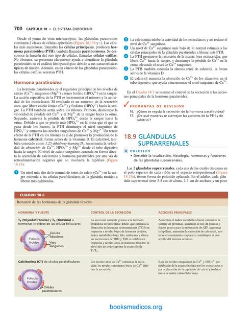 Metabolismo FosfoCálcico - SISTEMA ENDÓCRINO