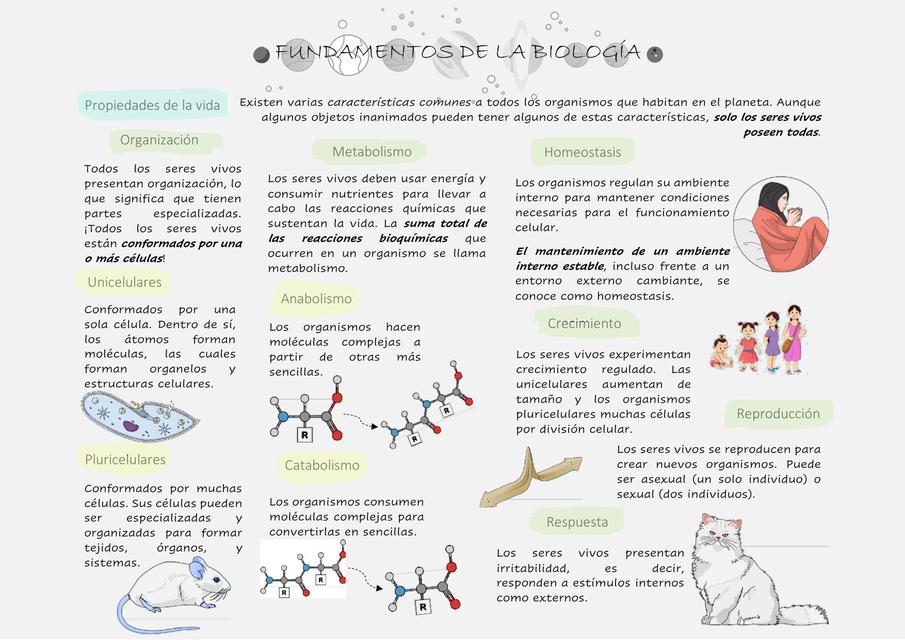 Propiedades de la vida