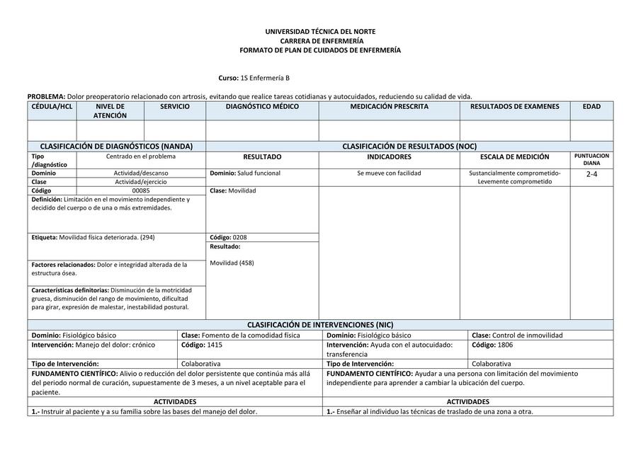 Ejemplo Plan de Atención Enfermera (PAE)