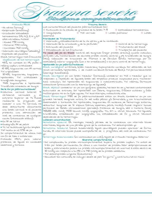 Politrauma Carolina López uDocz