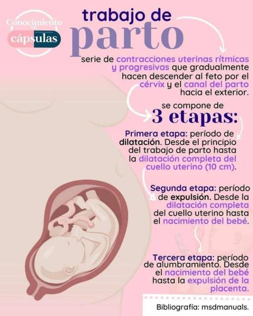 etapas y fases del trabajo de parto