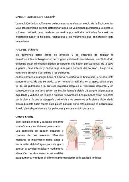 Marco teórico: Espirometría