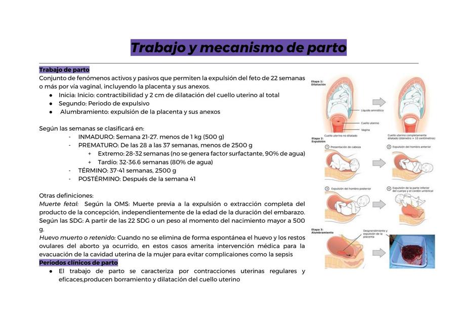 Trabajo Y Mecanismo De Parto Angela Dominguez Udocz 