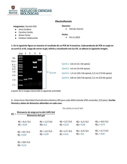 Electroforesis