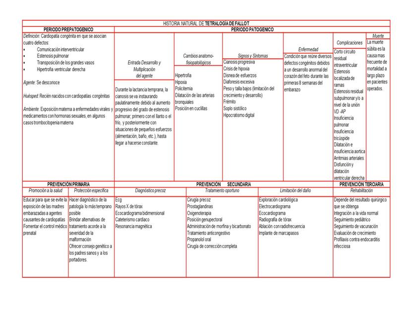 Historia Natural de Enfermedad: Tetralogía de Fallot