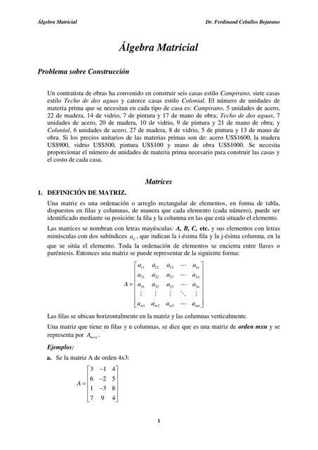 Apuntes de Algebra Matricial 1