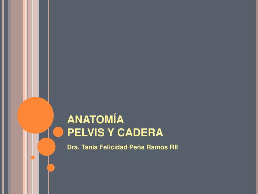 Anatomía- Pelvis y Cadera 