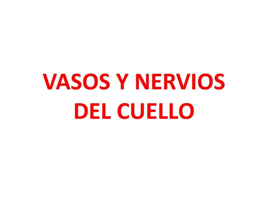 Vasos y nervios del cuello