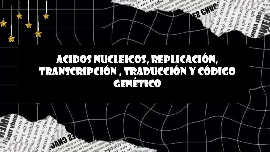 Ácidos Nucleicos