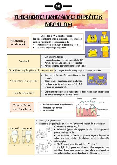 Fundamentos Biomecánicos en Rehabilitación