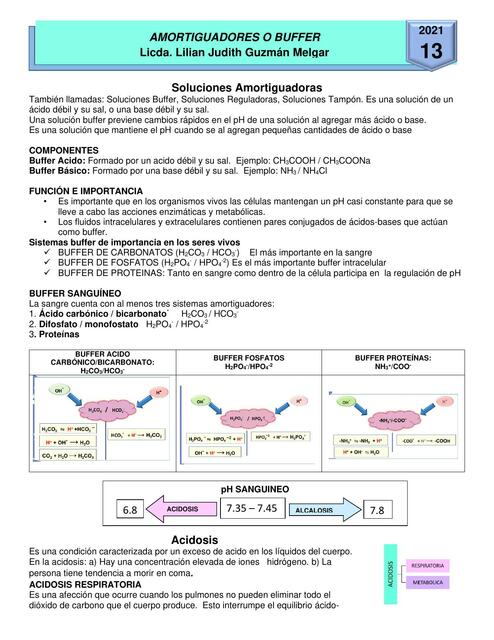 Amortiguadores o buffer | R. M. Aztec | uDocz