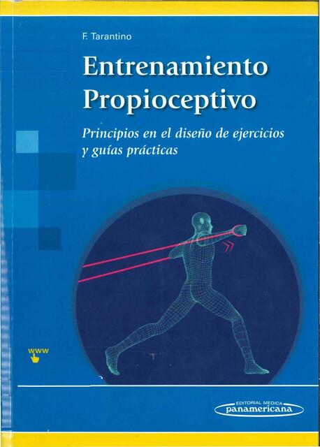 Entrenamiento Propioceptivo 