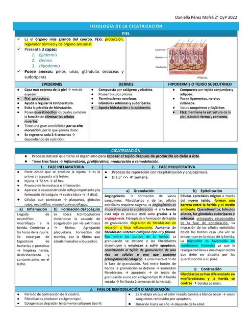 FISIOLOGÍA DE LA CICATRIZACIÓN 