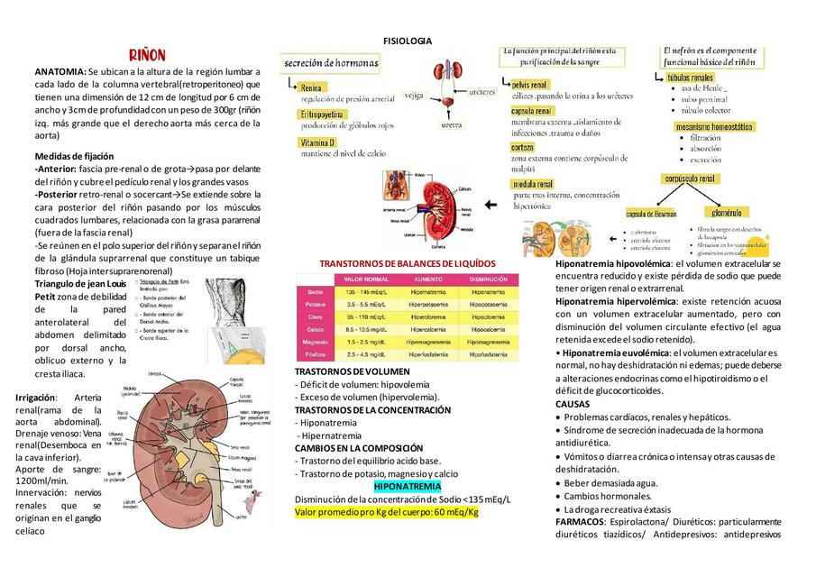 Fisiopatología Renal