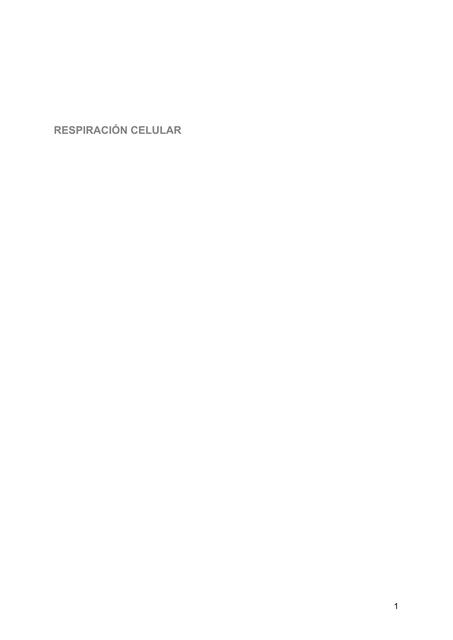 Bioquímica Respiración celular